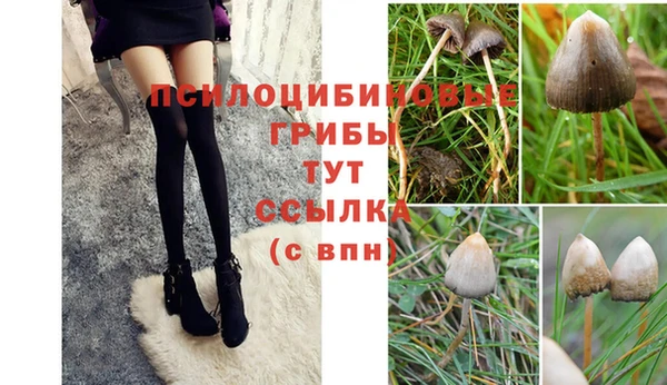 мет Абаза