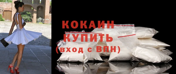индика Абинск