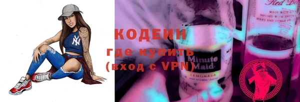 индика Абинск