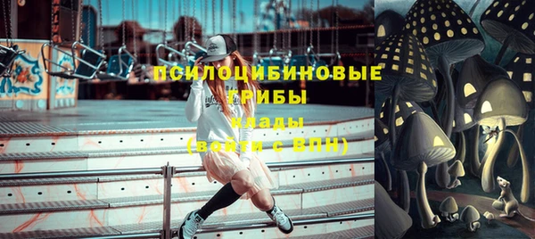 индика Абинск